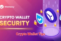 Crypto Wallet Tips