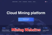 Mining Websites