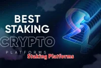 Staking Platforms